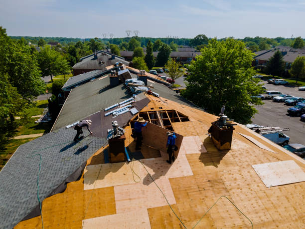 Best Emergency Roof Repair  in Hampton, IL
