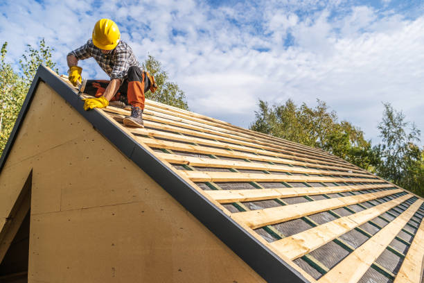 Best Roof Gutter Cleaning  in Hampton, IL