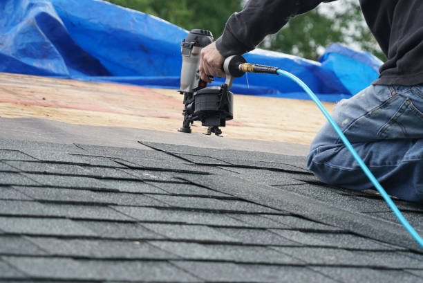 Best Flat Roof Repair Services  in Hampton, IL