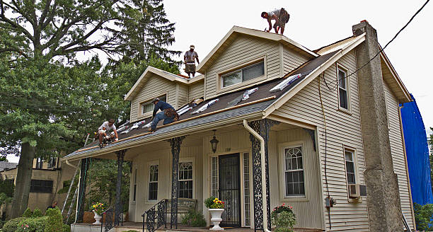 Best New Roof Installation  in Hampton, IL