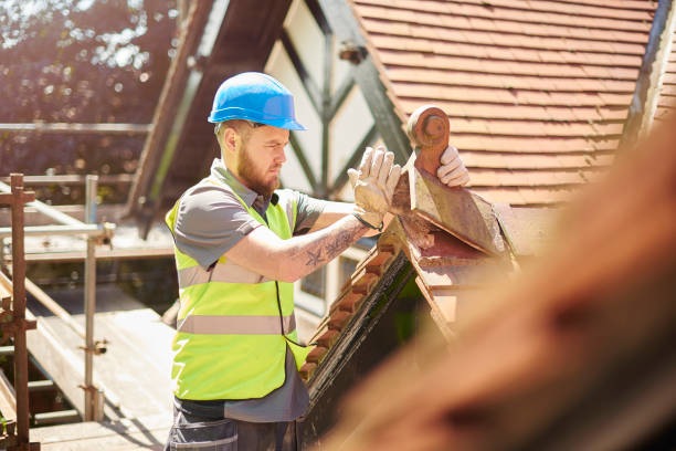 Roof Gutter Cleaning in Hampton, IL