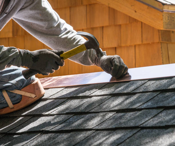 Best Roof Maintenance Services  in Hampton, IL